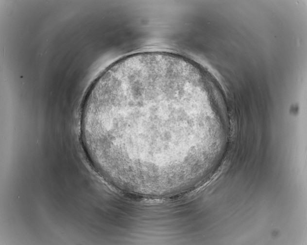 X0000098231415200805221701