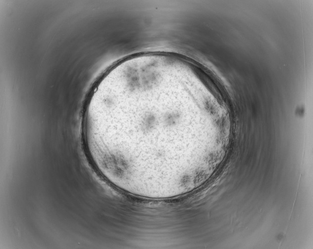 X0000098231416200805221701