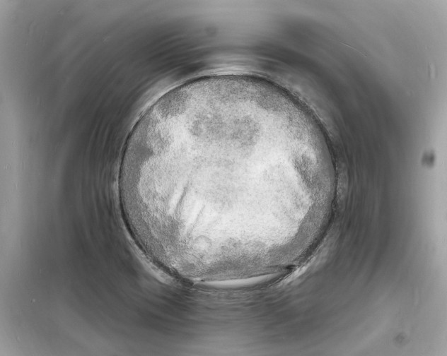 X0000098231417200805221701