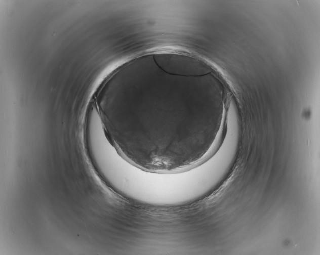 X0000098231418200805221701