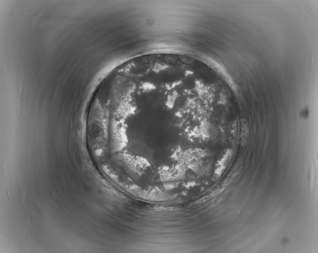 X0000098231419200805221701