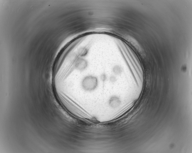 X0000098231420200805221701