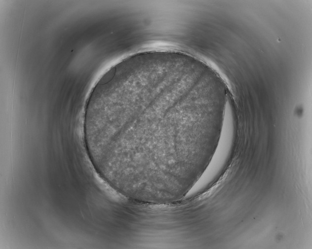 X0000098231421200805221701