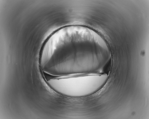 X0000098231422200805221701