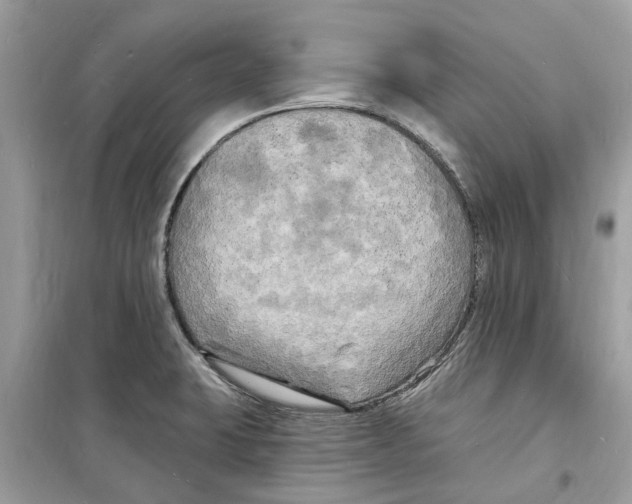 X0000098231423200805221701