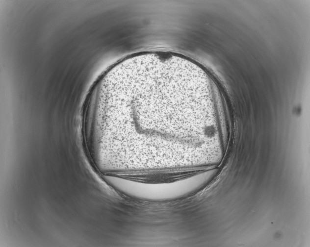 X0000098231424200805221701