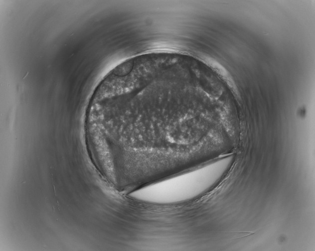 X0000098231427200805221701