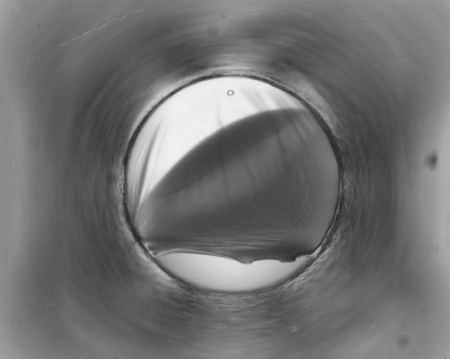 X0000098231428200805221701