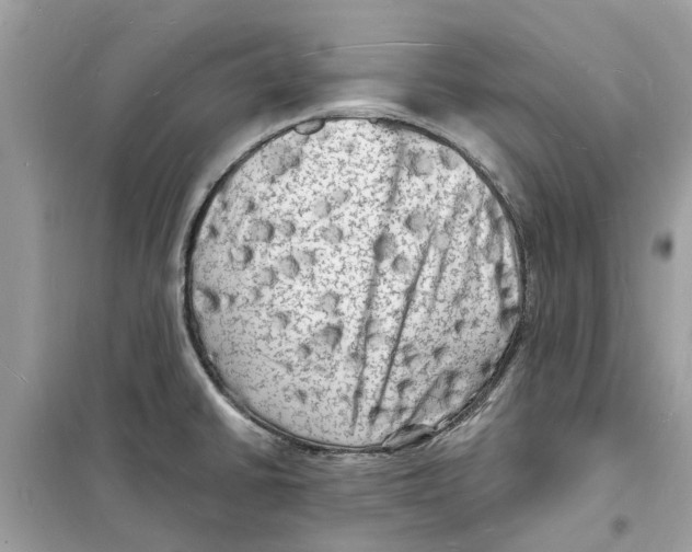 X0000098231430200805221701