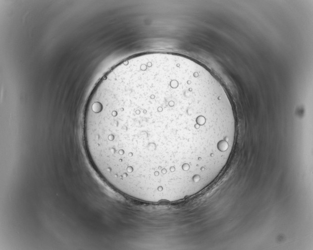 X0000098231432200805221701