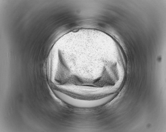 X0000098231433200805221701