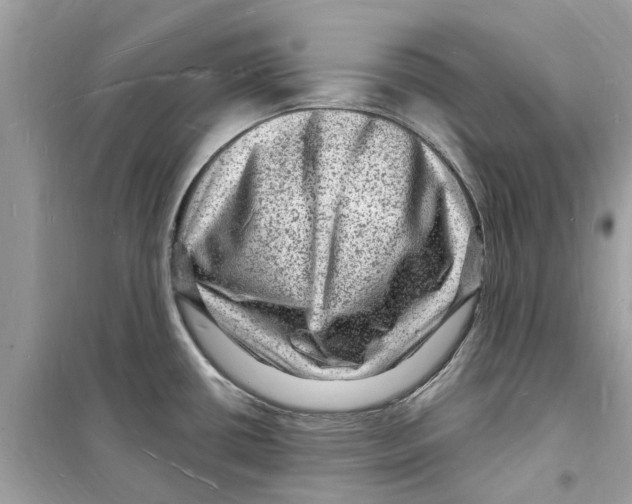 X0000098231434200805221701