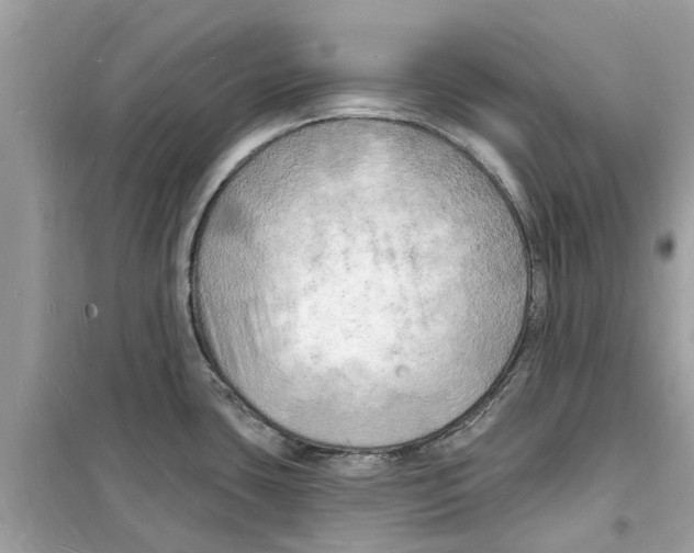 X0000098231435200805221701