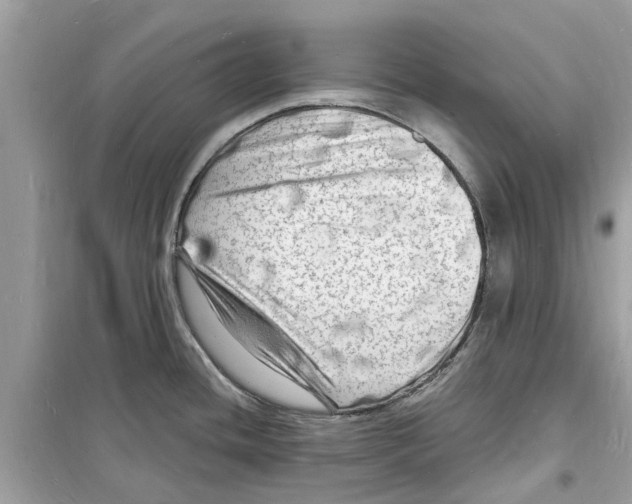 X0000098231436200805221701