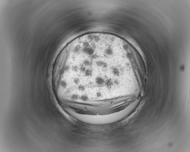 X0000098231437200805221701