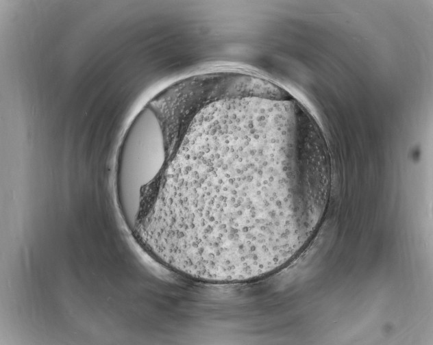 X0000098231438200805221701