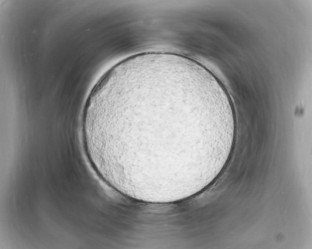 X0000098231440200805221701