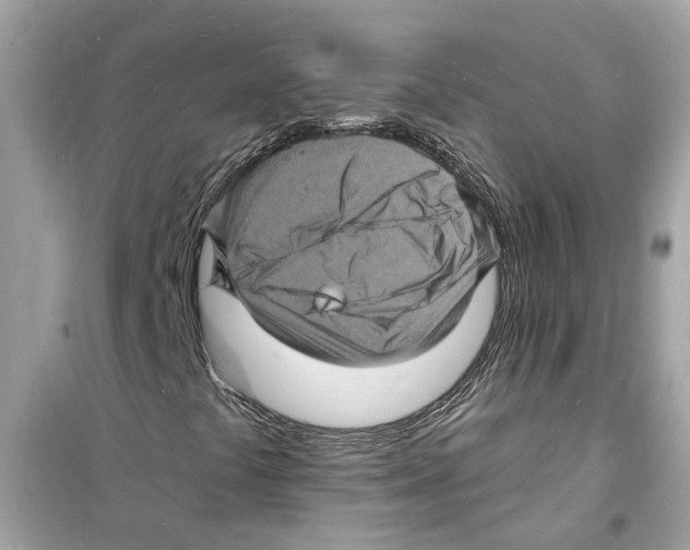 X0000098231441200805221700