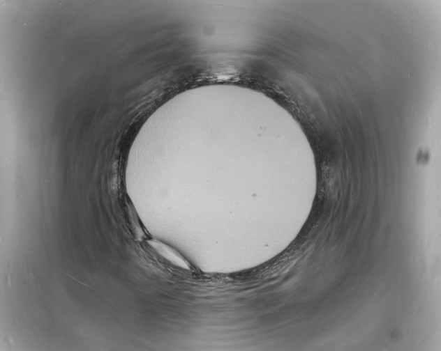 X0000098231442200805221700