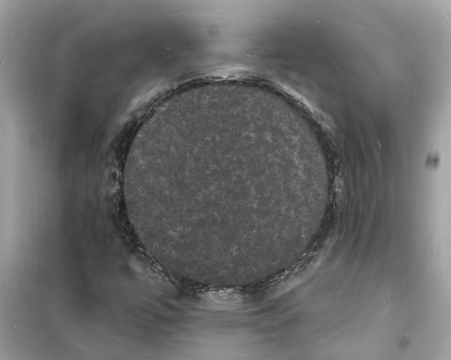 X0000098231447200805221700