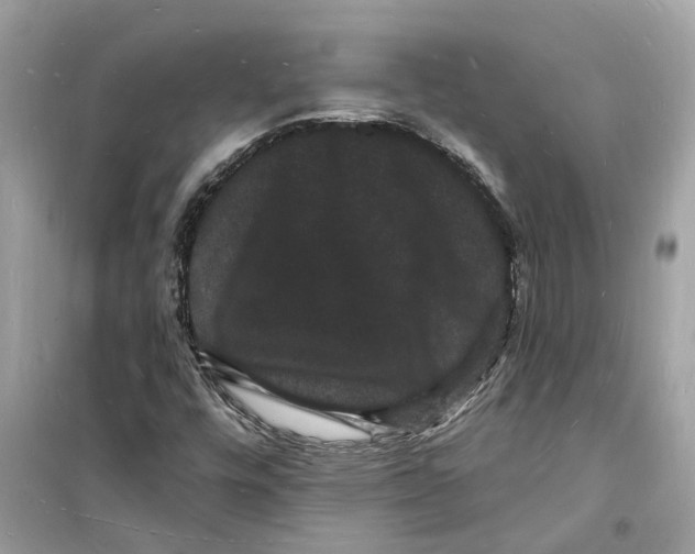 X0000098231448200805221700