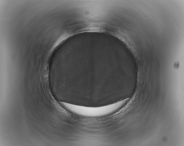 X0000098231450200805221700