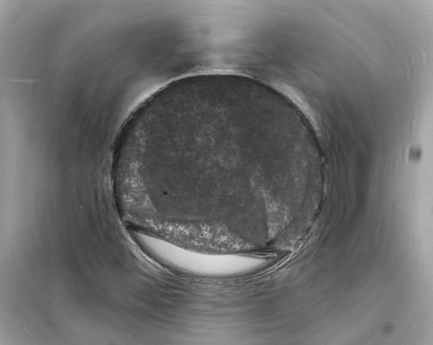 X0000098231452200805221700