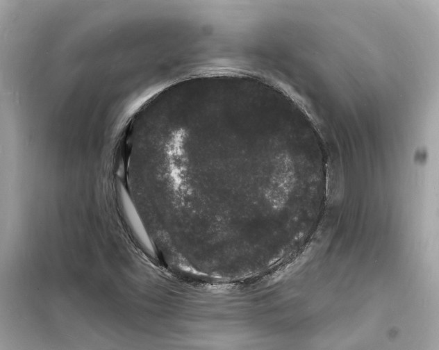 X0000098231453200805221700