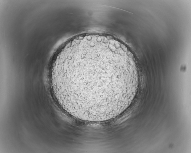 X0000098231454200805221700