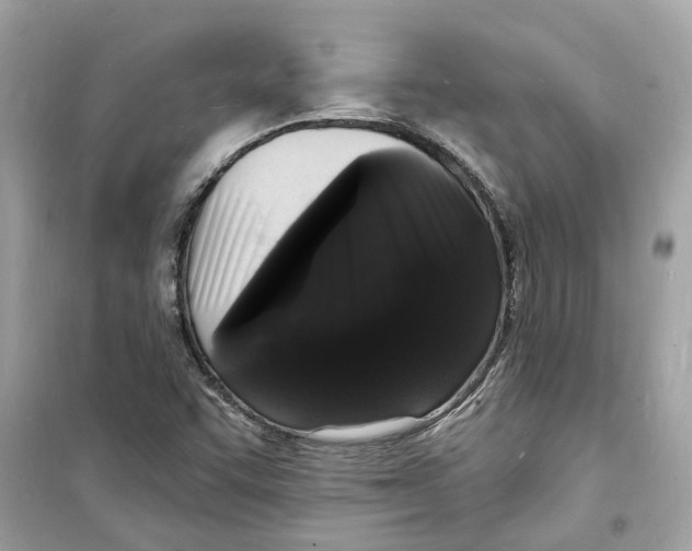 X0000098231455200805221700