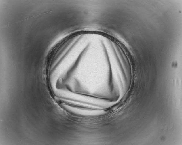 X0000098231456200805221700