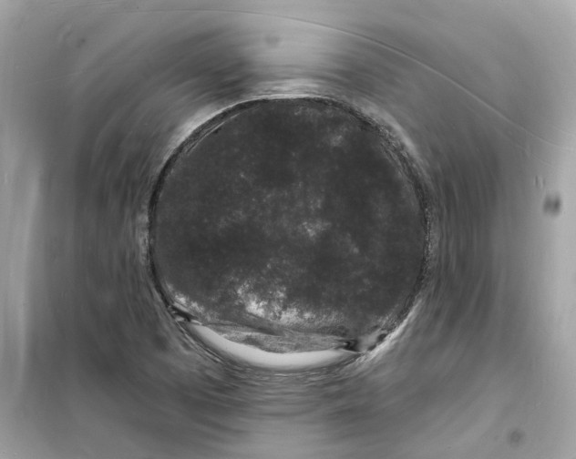 X0000098231457200805221700