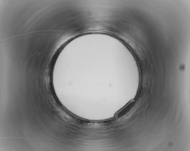 X0000098231458200805221700