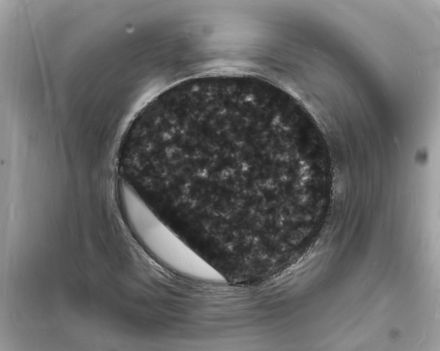 X0000098231459200805221700