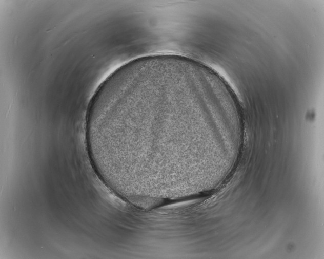 X0000098231460200805221700