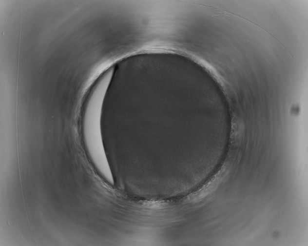 X0000098231461200805221700