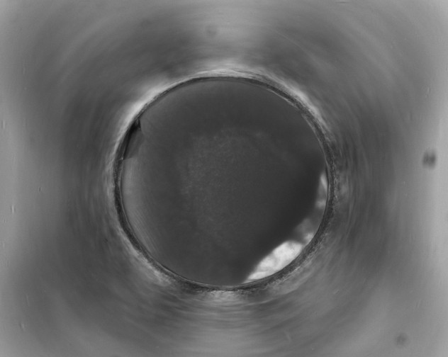 X0000098231463200805221700