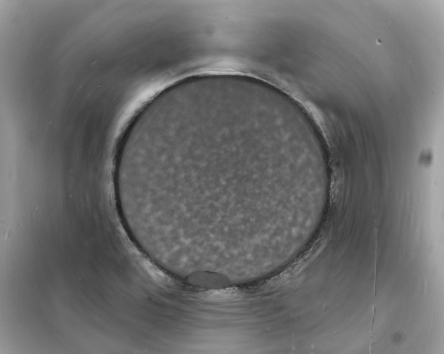 X0000098231464200805221700