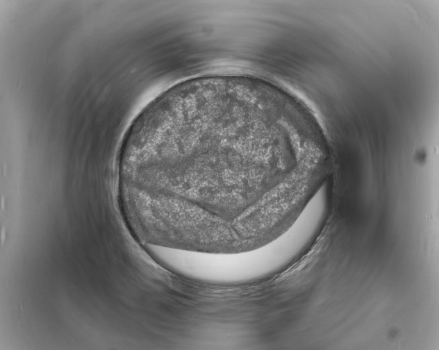 X0000098231467200805221700