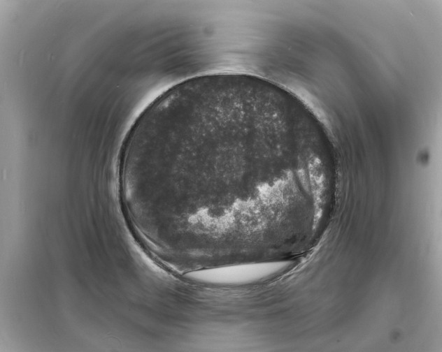 X0000098231468200805221700