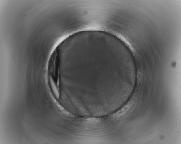 X0000098231469200805221700