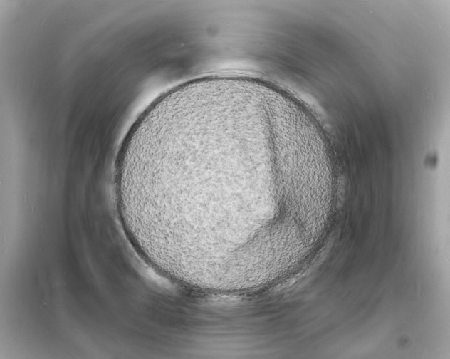 X0000098231470200805221700