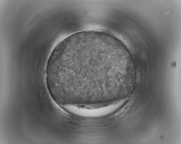 X0000098231471200805221700