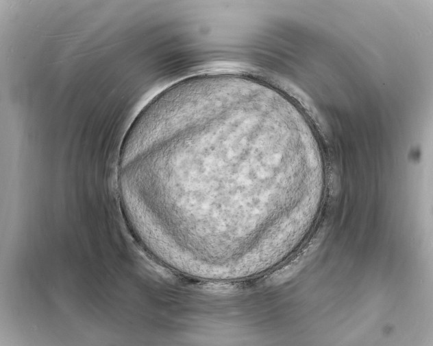 X0000098231473200805221700