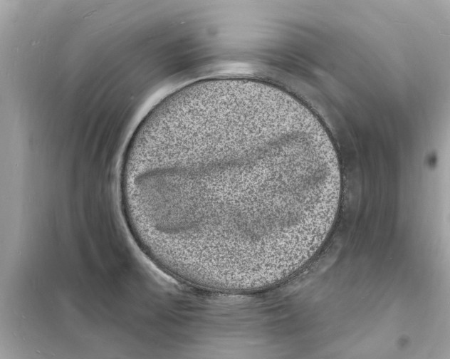 X0000098231475200805221700