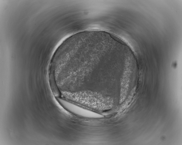 X0000098231476200805221700