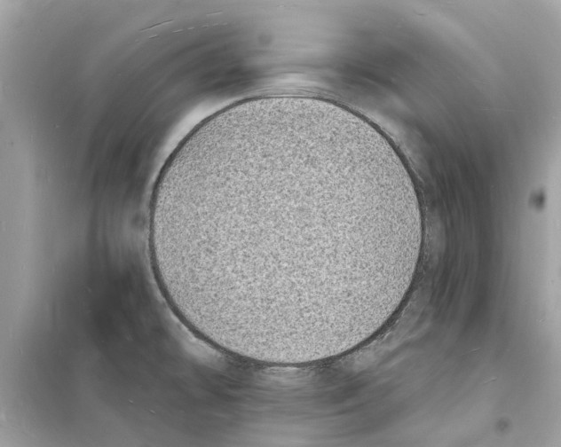 X0000098231478200805221700