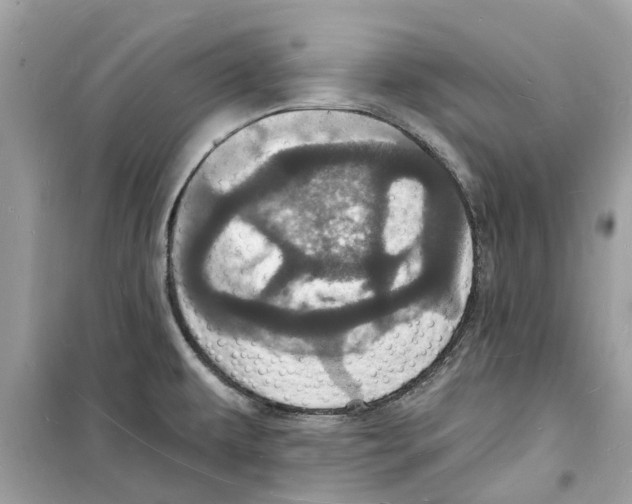 X0000098231479200805221700