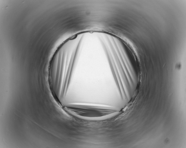 X0000098231480200805221700