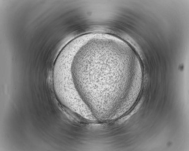 X0000098231481200805221700